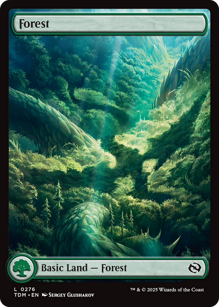 Forest (0276) [Tarkir: Dragonstorm] [Foil]