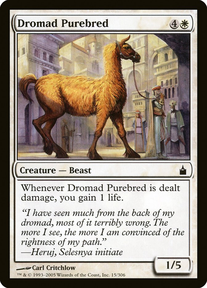 Dromad Purebred [Ravnica: City of Guilds] [Foil]
