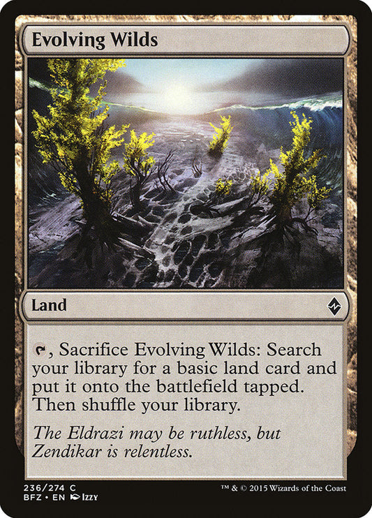 Evolving Wilds [Battle for Zendikar] [Foil]