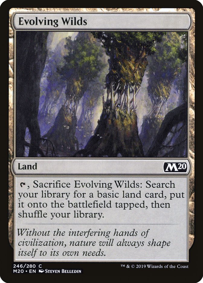 Evolving Wilds [Core Set 2020] [Foil]