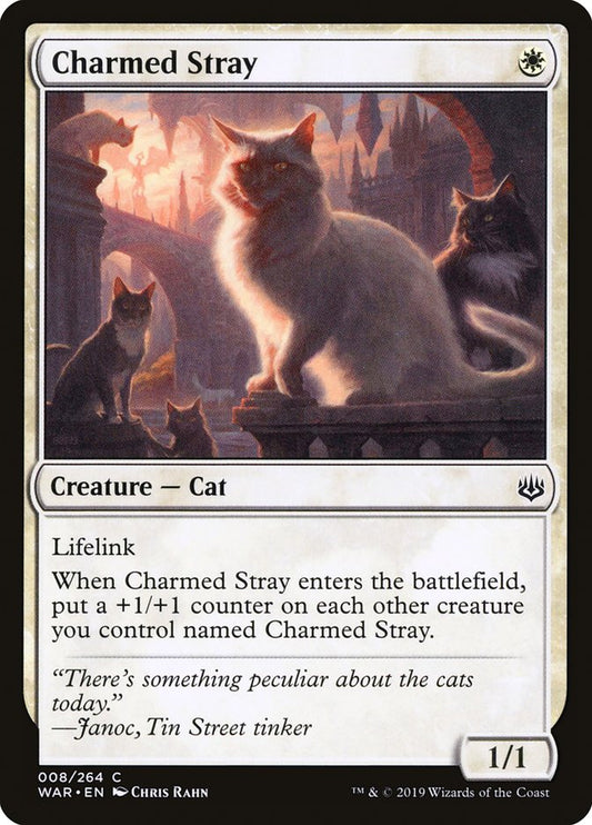 Charmed Stray [War of the Spark] [Foil]