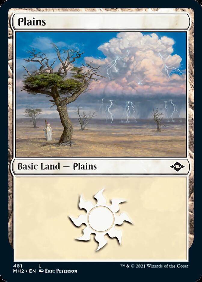 Plains (481) [Modern Horizons 2] [Foil]