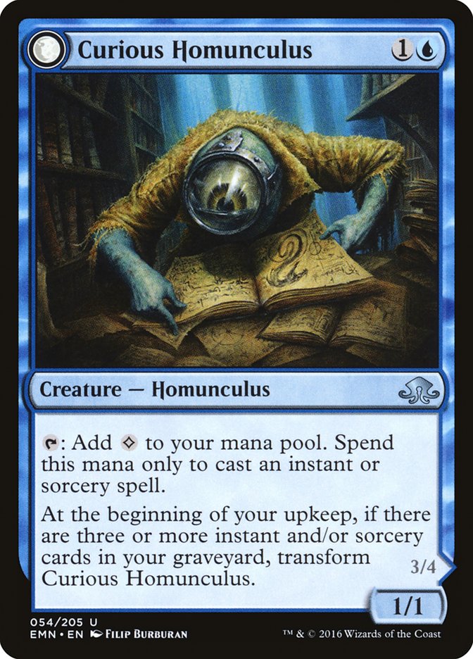 Curious Homunculus // Voracious Reader [Eldritch Moon] [Foil]
