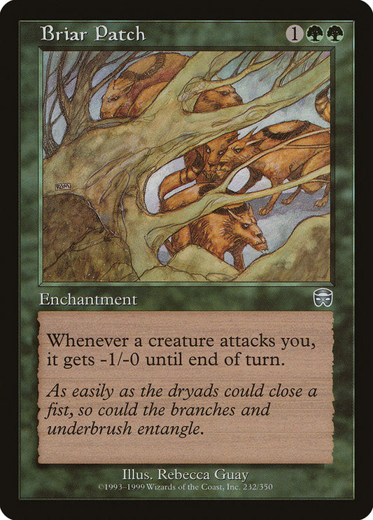 Briar Patch [Mercadian Masques] [Foil]