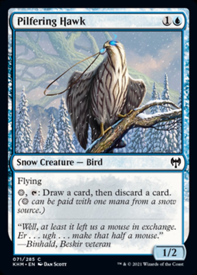 Pilfering Hawk [Kaldheim] [Foil]