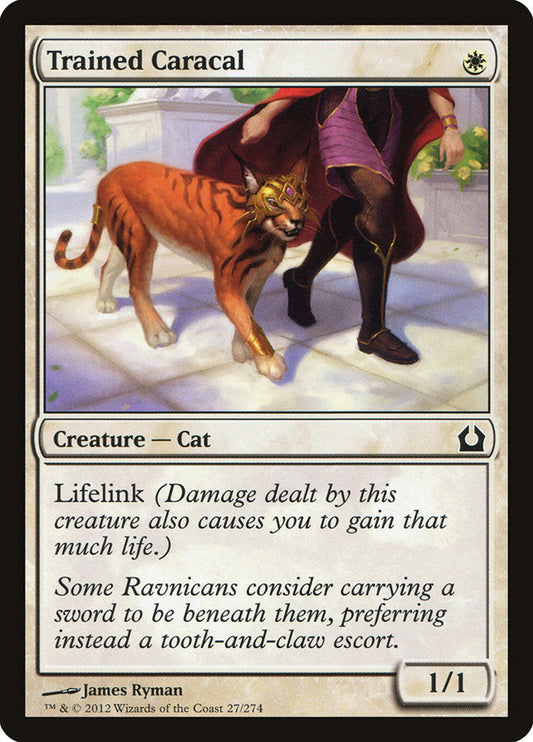 Trained Caracal [Return to Ravnica] [Foil]