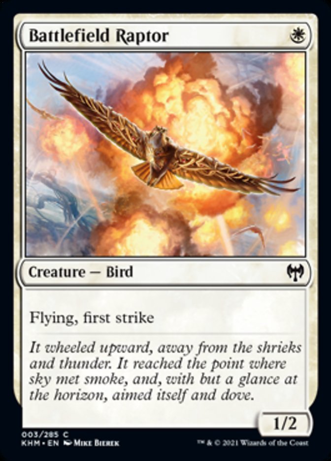 Battlefield Raptor [Kaldheim] [Foil]