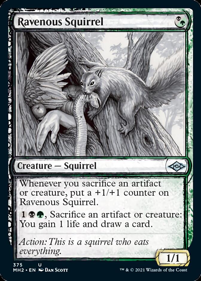 Ravenous Squirrel (Sketch) [Modern Horizons 2] [Foil]