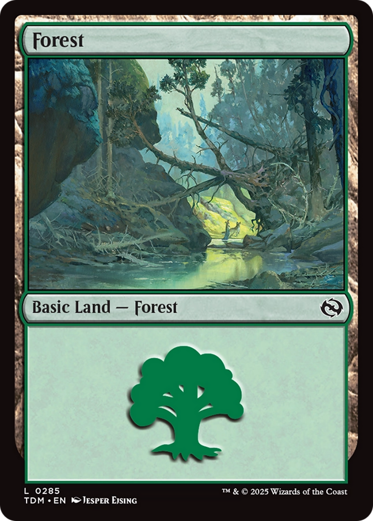 Forest (0285) [Tarkir: Dragonstorm] [Foil]