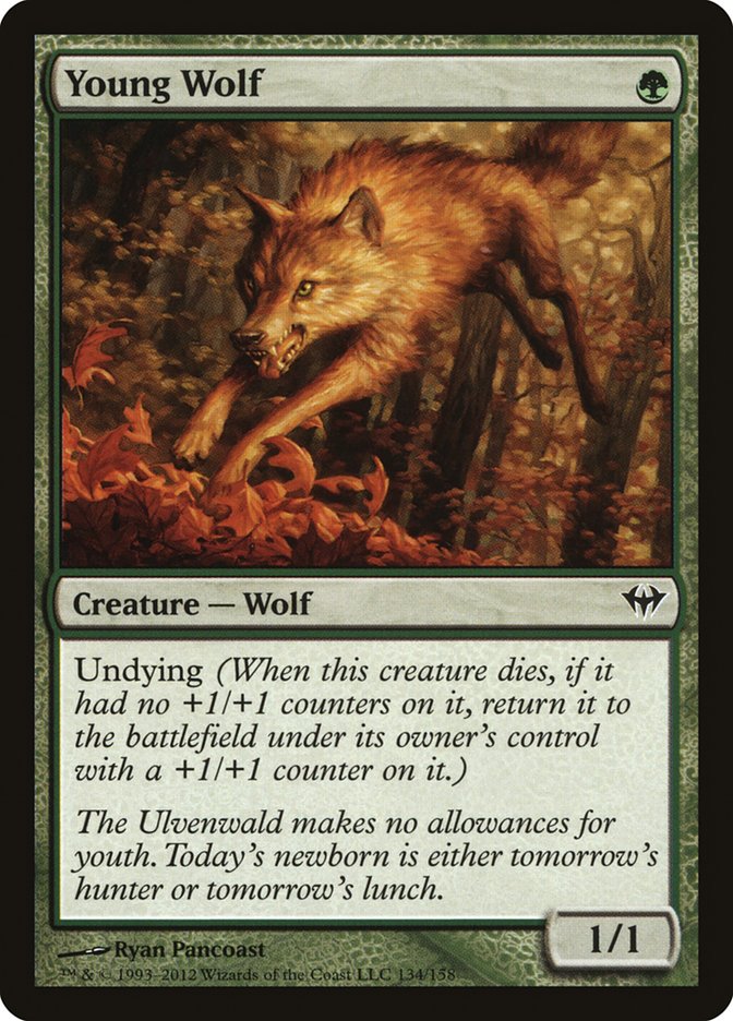 Young Wolf [Dark Ascension] [Foil]