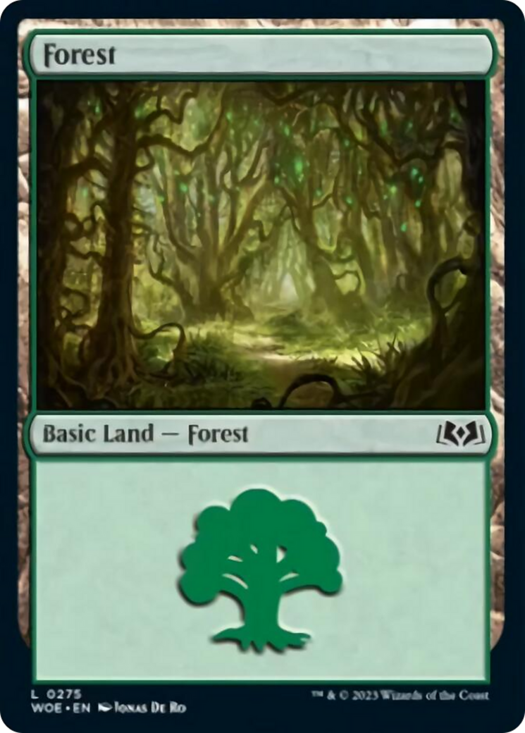 Forest (0275) [Wilds of Eldraine] [Foil]