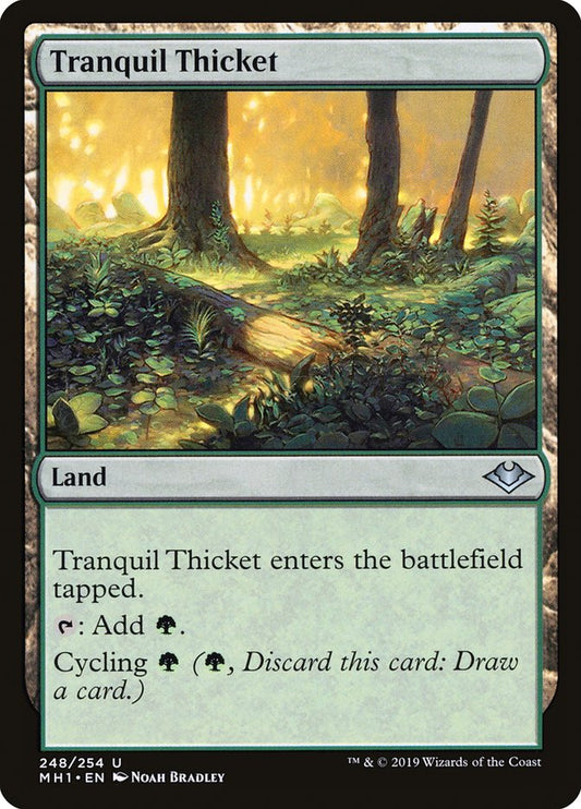 Tranquil Thicket [Modern Horizons] [Foil]