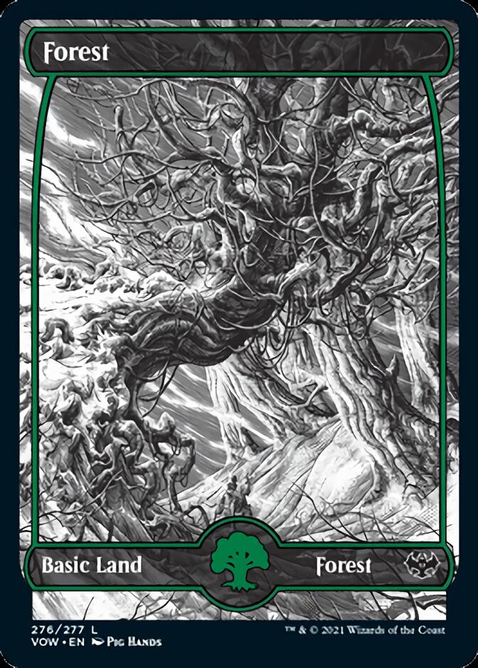 Forest (276) [Innistrad: Crimson Vow] [Foil]
