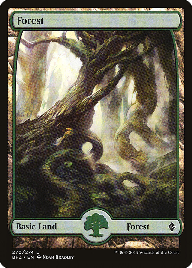 Forest (270) (Full Art) [Battle for Zendikar] [Foil]