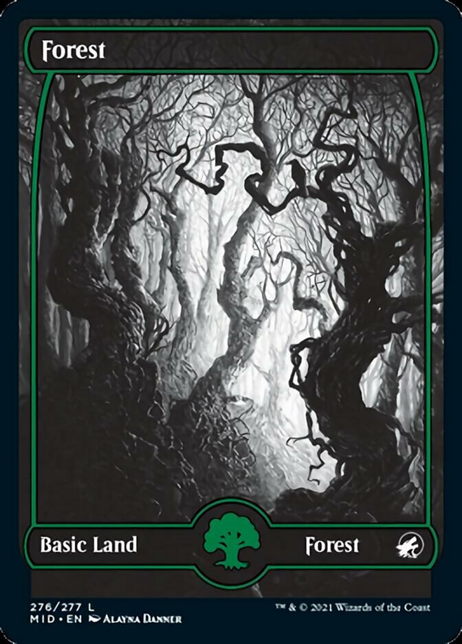 Forest (276) [Innistrad: Midnight Hunt] [Foil]