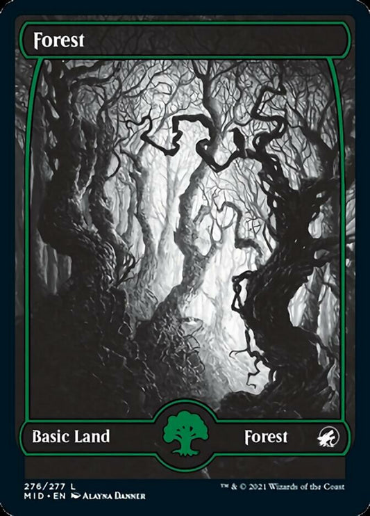 Forest (276) [Innistrad: Midnight Hunt] [Foil]