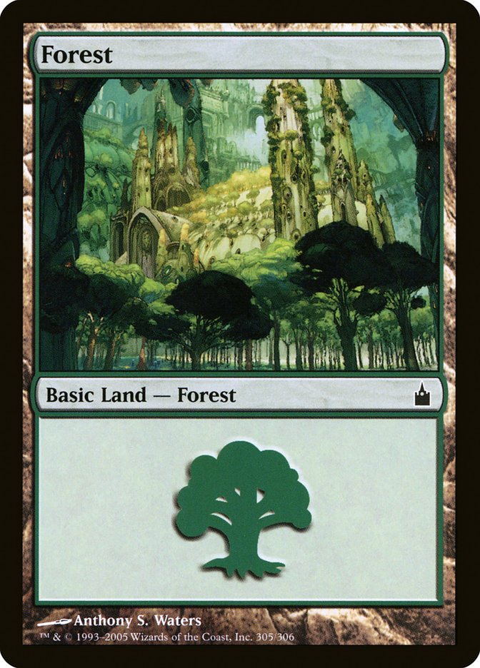 Forest (305) [Ravnica: City of Guilds] [Foil]