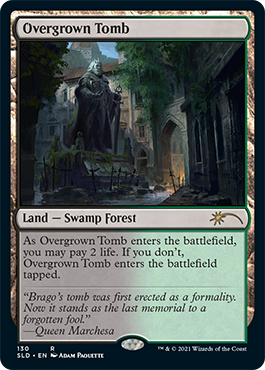 Overgrown Tomb [Secret Lair Drop Series] [Foil]