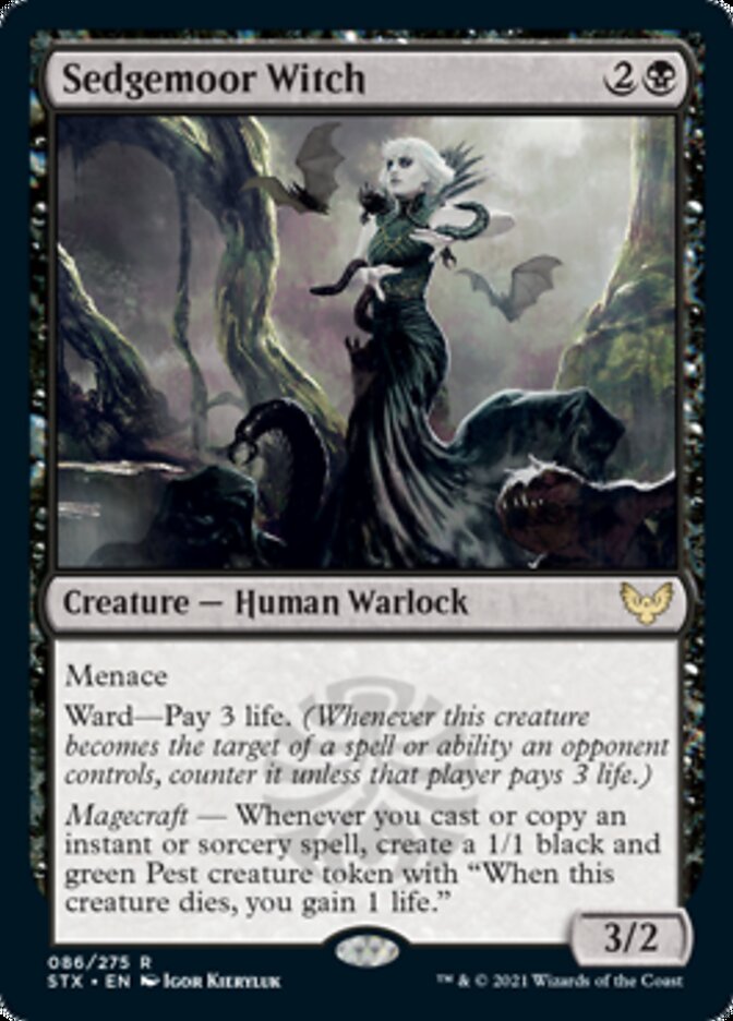 Sedgemoor Witch [Strixhaven: School of Mages] [Foil]