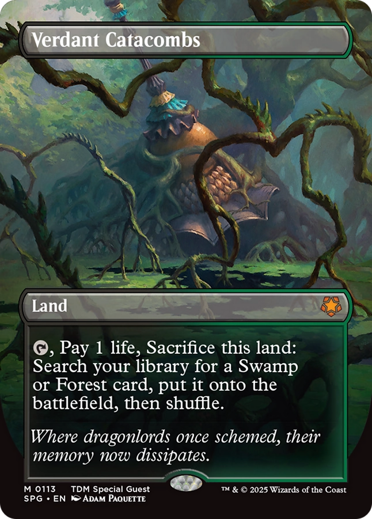 Verdant Catacombs (Borderless) [Tarkir: Dragonstorm Special Guests] [Foil]
