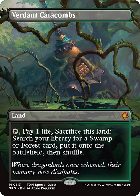 Verdant Catacombs (Borderless) [Tarkir: Dragonstorm Special Guests] [Foil]