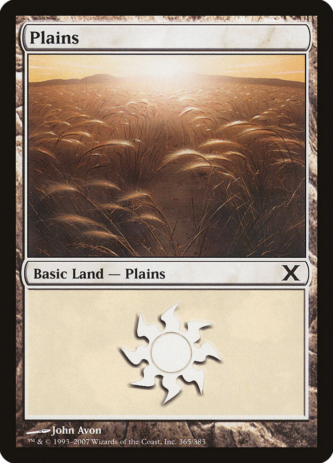 Plains (365) [Tenth Edition] [Foil]