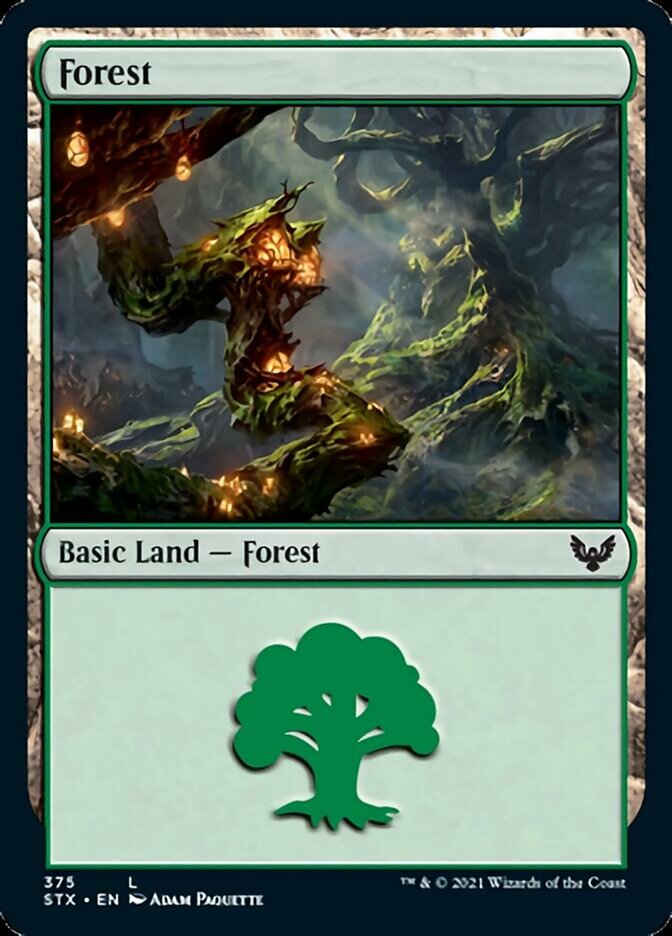 Forest (375) [Strixhaven: School of Mages] [Foil]