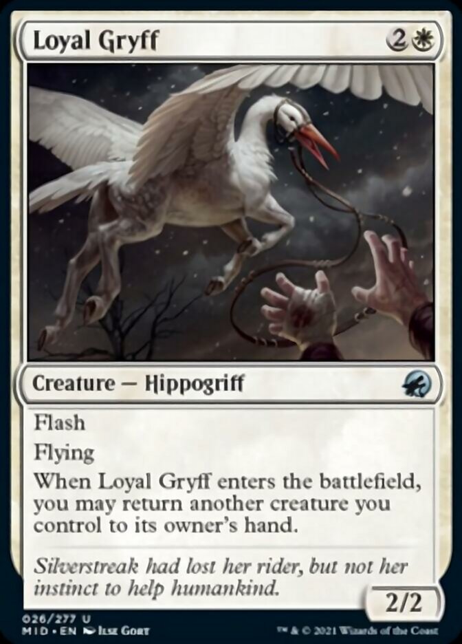 Loyal Gryff [Innistrad: Midnight Hunt] [Foil]