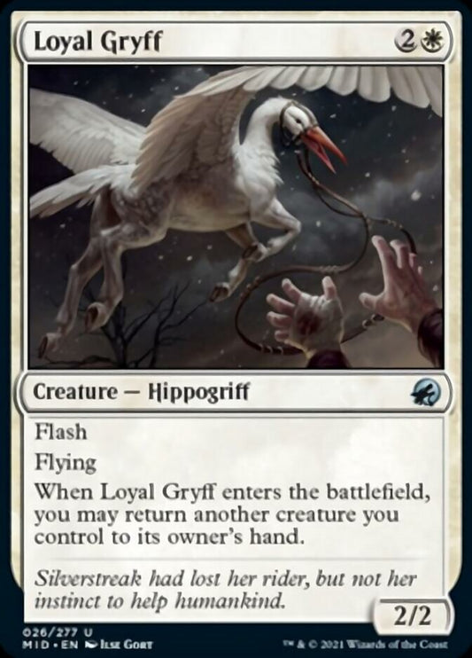 Loyal Gryff [Innistrad: Midnight Hunt] [Foil]