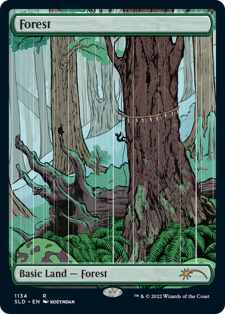 Forest (1134) (Full-Art) [Secret Lair Drop Series] [Foil]