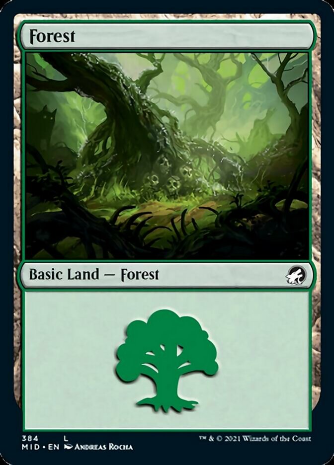Forest (384) [Innistrad: Midnight Hunt] [Foil]