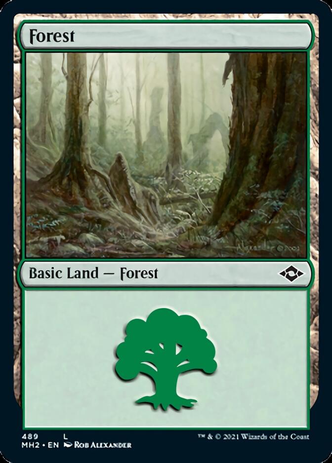 Forest (489) [Modern Horizons 2] [Foil]