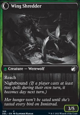 Bird Admirer // Wing Shredder [Innistrad: Double Feature]
