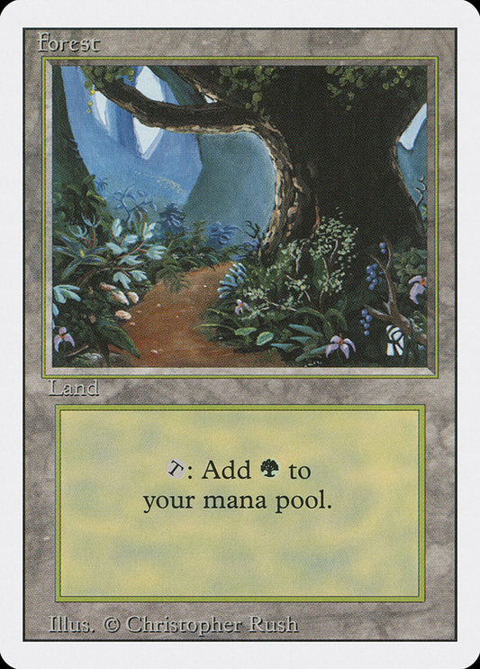 Forest (Flower Path) [3rd Edition]