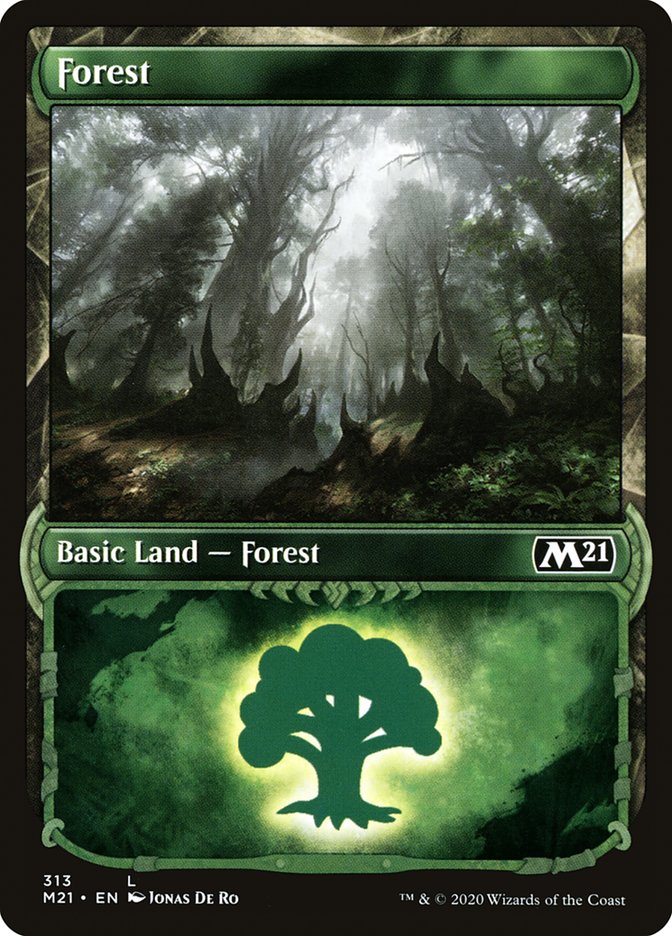 Forest (313) (Showcase) [Core Set 2021] [Foil]