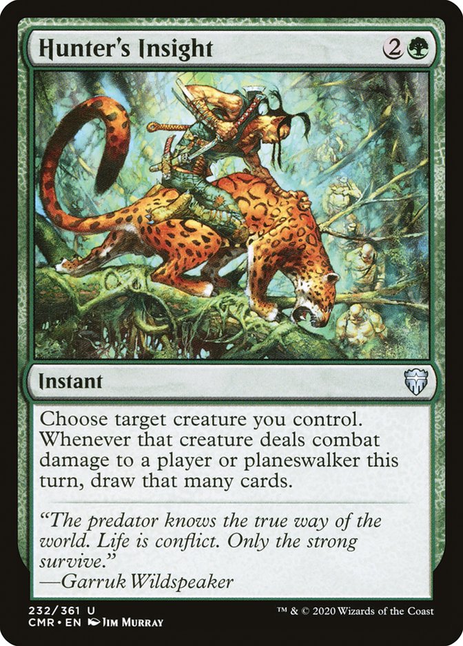 Hunter's Insight [Commander Legends] [Foil]