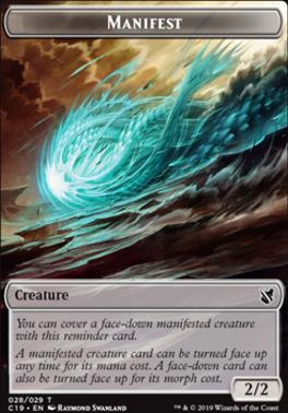 Saproling // Manifest Double-Sided Token [Commander 2019 Tokens]
