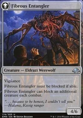 Tangleclaw Werewolf // Fibrous Entangler [Eldritch Moon]